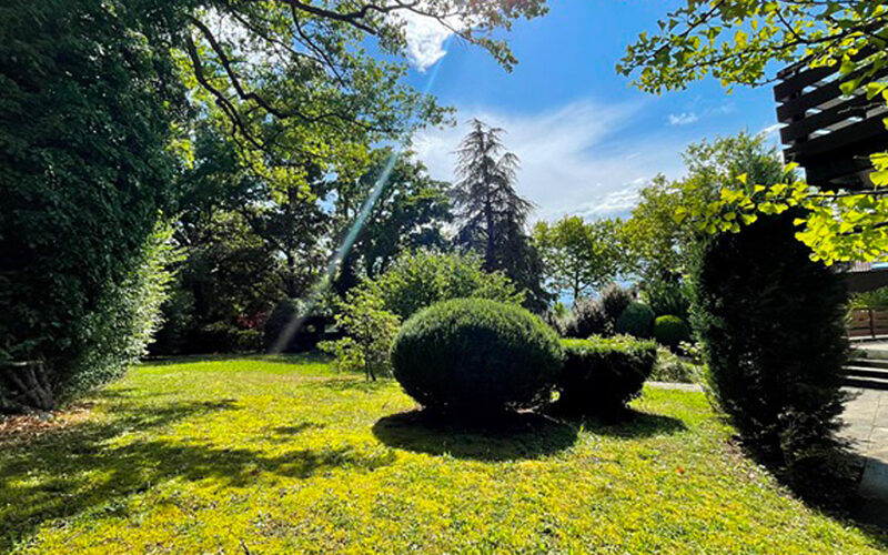 Architektenhaus in Pforzheim mit Blick auf den Garten – präsentiert von ImForum Immobilien