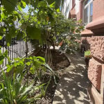 Historisches 3-Familienhaus in der Mannheimer Oststadt – Außenansicht – Imforum Immobilien