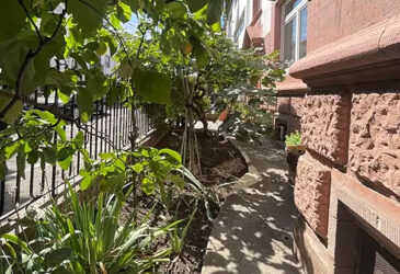 Historisches 3-Familienhaus in der Mannheimer Oststadt – Außenansicht – Imforum Immobilien